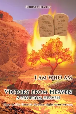 Victorie din cer: Un strigăt din cer - Victory from Heaven: A Cry from Heaven
