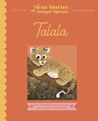 Talala: Curiosul pui de leopard care s-a alăturat unei turme de lei - Talala: The Curious Leopard Cub Who Joined a Lion Pride