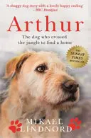Arthur - Câinele care a traversat jungla pentru a-și găsi un cămin *Va fi în curând un mare film „ARTHUR THE KING” cu MARK WAHLBERG* - Arthur - The dog who crossed the jungle to find a home *SOON TO BE A MAJOR MOVIE 'ARTHUR THE KING' STARRING MARK WAHLBERG*
