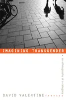 Imagining Transgender: O etnografie a unei categorii - Imagining Transgender: An Ethnography of a Category