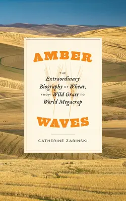Amber Waves: Biografia extraordinară a grâului, de la iarba sălbatică la megacultura mondială - Amber Waves: The Extraordinary Biography of Wheat, from Wild Grass to World Megacrop
