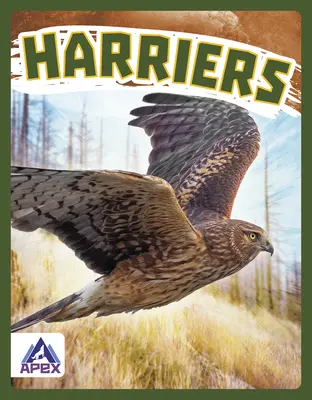 Șoimii - Harriers