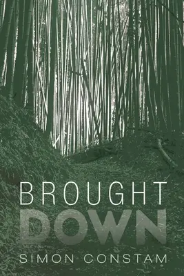 Dus în jos - Brought Down