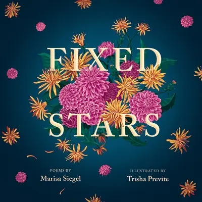 Stele fixe - Fixed Stars