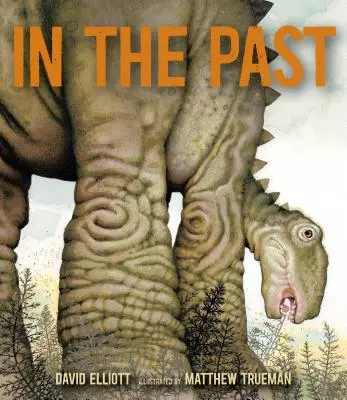 În trecut: De la trilobiți la dinozauri și mamuți în mai mult de 500 de milioane de ani - In the Past: From Trilobites to Dinosaurs to Mammoths in More Than 500 Million Years