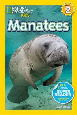 Manatee - Manatees