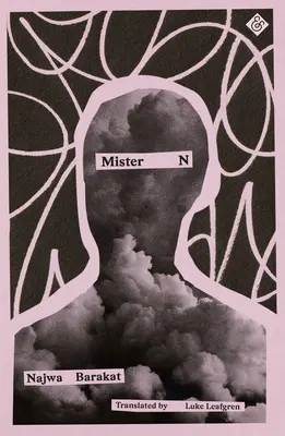 Domnul N - Mister N