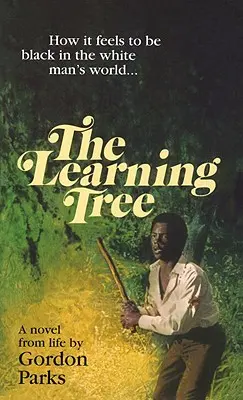 Arborele de învățare - Learning Tree