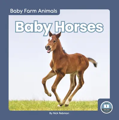 Căluți pentru copii - Baby Horses