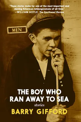The Boy Who Ran Away to Sea (Băiatul care a fugit pe mare) - The Boy Who Ran Away to Sea