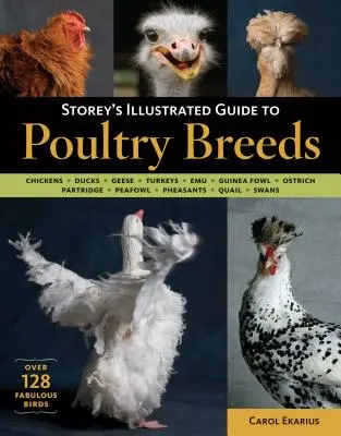 Storey's Illustrated Guide to Poultry Breeds: Găini, rațe, gâște, curcani, emuri, păsări de Guineea, struți, potârnichi, păsări de câmp, fazani, prepelițe, S - Storey's Illustrated Guide to Poultry Breeds: Chickens, Ducks, Geese, Turkeys, Emus, Guinea Fowl, Ostriches, Partridges, Peafowl, Pheasants, Quails, S