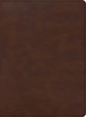 Biblia de studiu CSB Apologetics pentru studenți, maro Leathertouch - CSB Apologetics Study Bible for Students, Brown Leathertouch