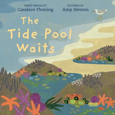 Bazinul de maree așteaptă: The Tide Pool Waits - The Tide Pool Waits