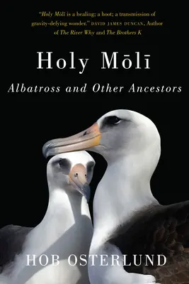 Sfântul Moli: Albatrosul și alți strămoși - Holy Moli: Albatross and Other Ancestors