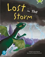 Bug Club Shared Reading: Lost in the Storm (Anul 1) - Bug Club Shared Reading: Lost in the Storm (Year 1)