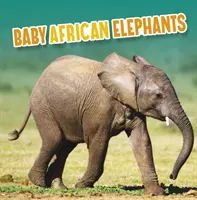 Pui de elefant african - Baby African Elephants