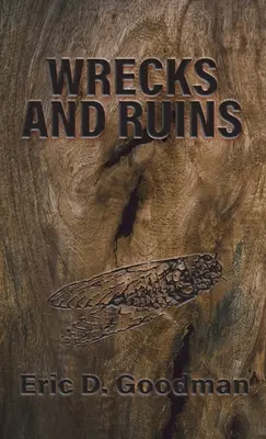 Epave și ruine - Wrecks and Ruins
