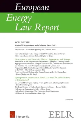 Raportul privind dreptul european al energiei XIII - European Energy Law Report XIII