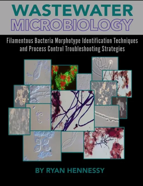 Microbiologia apelor reziduale, tehnici de identificare a morfotipurilor bacteriilor filamentoase și strategii de depanare a controlului proceselor - Wastewater Microbiology, Filamentous Bacteria Morphotype Identification Techniques, and Process Control Troubleshooting Strategies