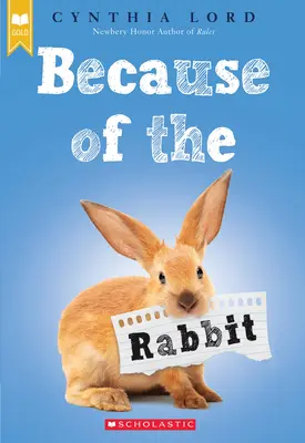 Din cauza iepurelui - Because of the Rabbit