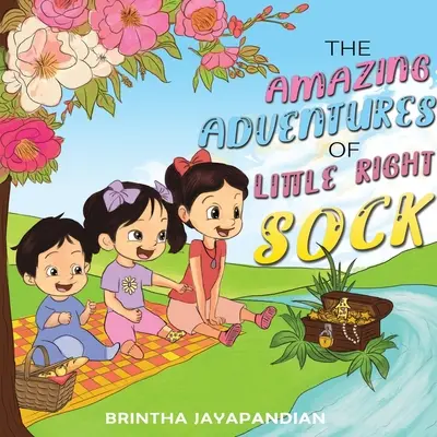 Uimitoarele aventuri ale lui Little Right Sock - The Amazing Adventures of Little Right Sock