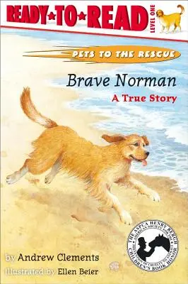 Brave Norman: O poveste adevărată (Ready-To-Read Level 1) - Brave Norman: A True Story (Ready-To-Read Level 1)