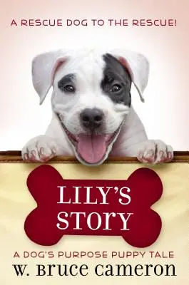 Povestea lui Lily: Povestea unui cățeluș - Lily's Story: A Puppy Tale