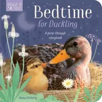 Ora de culcare pentru rățușcă - Bedtime for Duckling