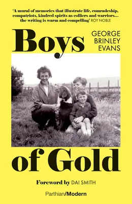 Băieți de aur - Boys of Gold