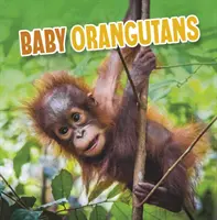 Orangutani pui - Baby Orangutans