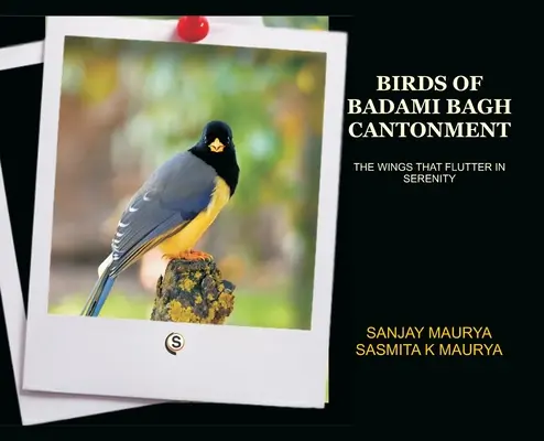 Păsările din cantonamentul Badami Bagh - Birds of Badami Bagh Cantonment