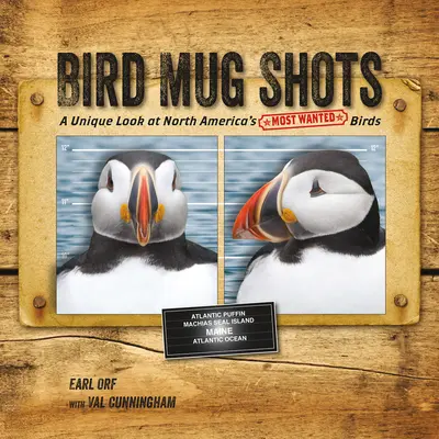 Bird Mug Shots: O privire unică asupra celor mai căutate păsări din America de Nord - Bird Mug Shots: A Unique Look at North America's Most Wanted Birds