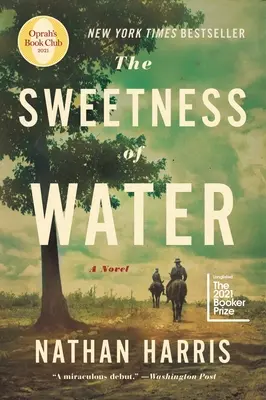 Dulceața apei (Oprah's Book Club) - The Sweetness of Water (Oprah's Book Club)