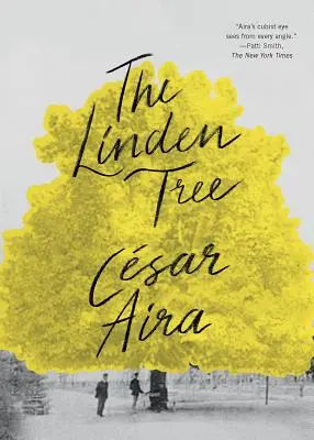 Copacul de tei - The Linden Tree