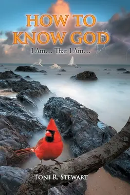 Cum să-L cunoști pe Dumnezeu: Eu Sunt... Că Eu Sunt... - How to Know God: I Am... That I Am...