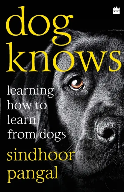 Câinele știe: Să învățăm cum să învățăm de la câini - Dog Knows: Learning How to Learn from Dogs