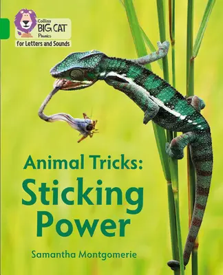 Trucuri cu animale: Puterea lipirii - Banda 05/Verde - Animal Tricks: Sticking Power - Band 05/Green