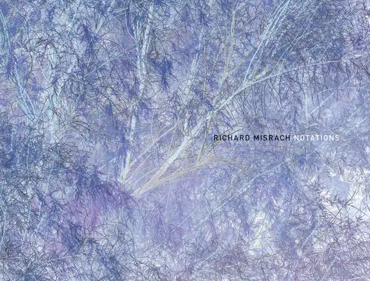 Richard Misrach: Notații - Richard Misrach: Notations