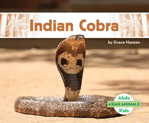 Cobra indiană - Indian Cobra