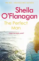 Bărbatul perfect - The Perfect Man