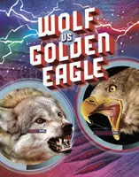 Lup vs Vultur auriu - Wolf vs Golden Eagle