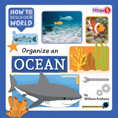 Organizarea unui ocean - Organize an Ocean