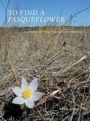 To Find a Pasqueflower: O poveste a preriei Tallgrass - To Find a Pasqueflower: A Story of the Tallgrass Prairie