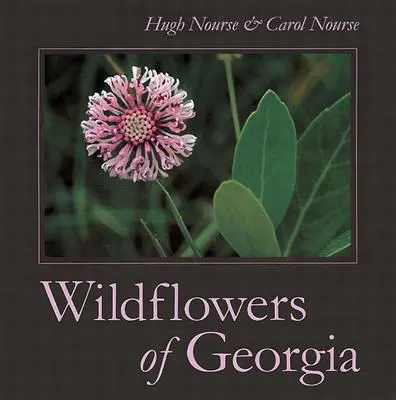 Flori sălbatice din Georgia - Wildflowers of Georgia