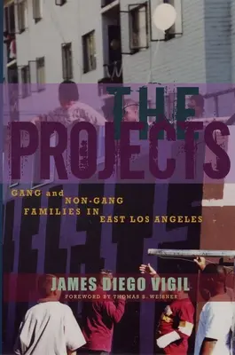 Proiecte - Familii cu și fără bande în East Los Angeles - Projects - Gang and Non-Gang Families in East Los Angeles