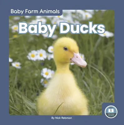 Pui de rață - Baby Ducks