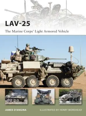 Lav-25: Vehiculul blindat ușor al Corpului Pușcașilor Marini - Lav-25: The Marine Corps' Light Armored Vehicle