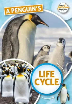 Ciclul de viață al pinguinului - Penguin's Life Cycle