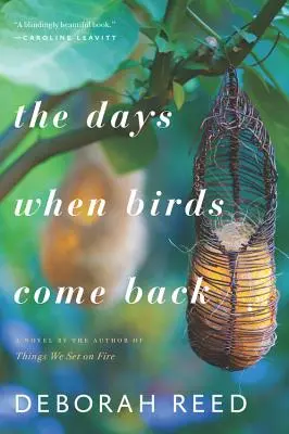 Zilele în care păsările se întorc - The Days When Birds Come Back