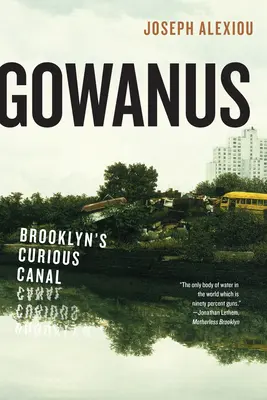 Gowanus: canalul ciudat din Brooklyn - Gowanus: Brooklyn's Curious Canal